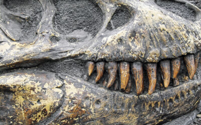 E- Book: Don’t Let Your Business Become Extinct